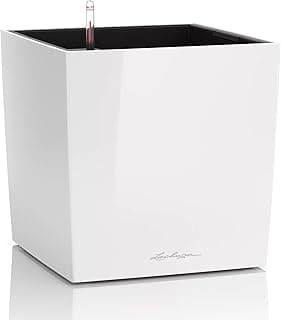 Cube Premium 30 Blanco Brillante 16460