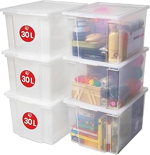 Caja organizadora 30L